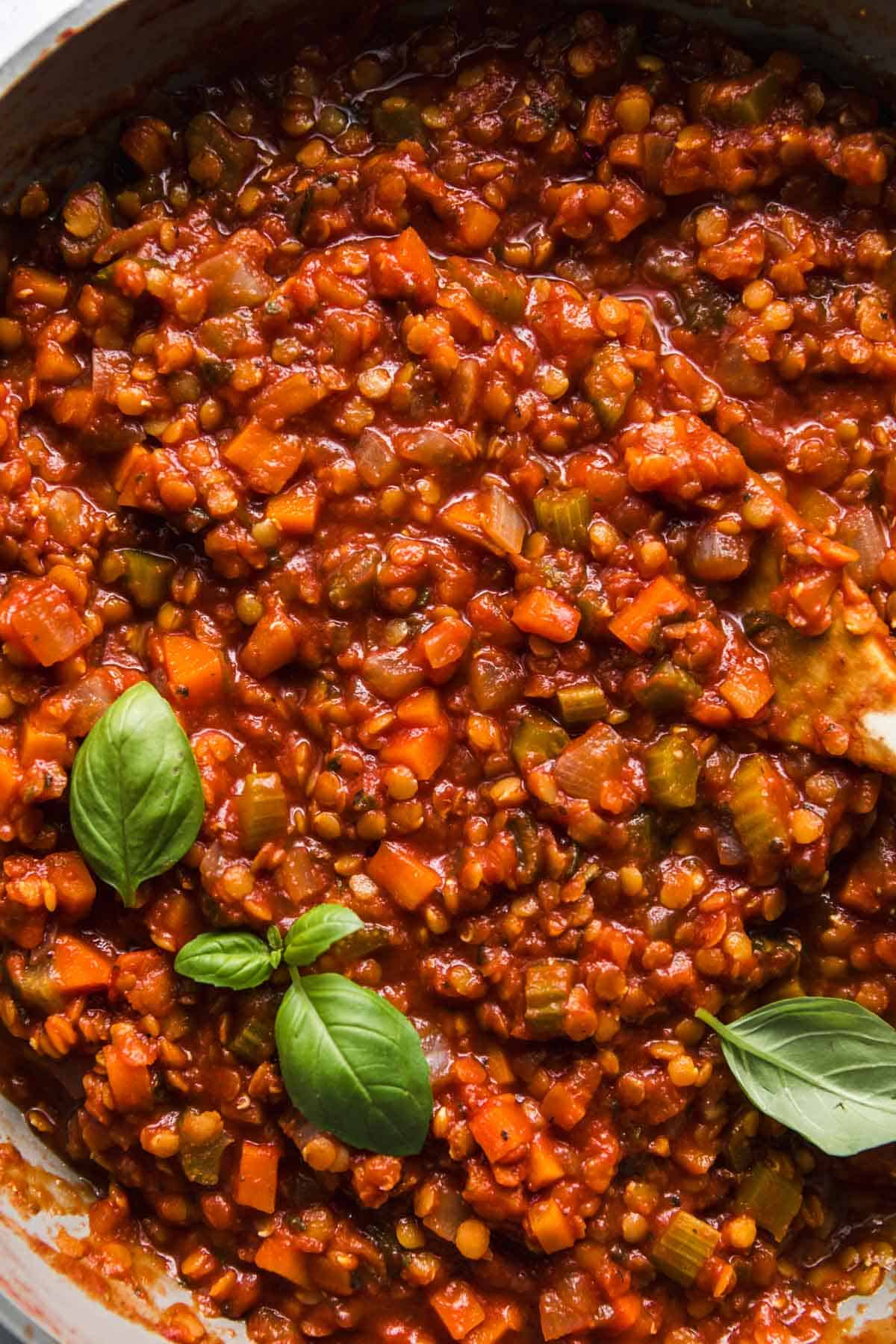 lentil bolognese vegan