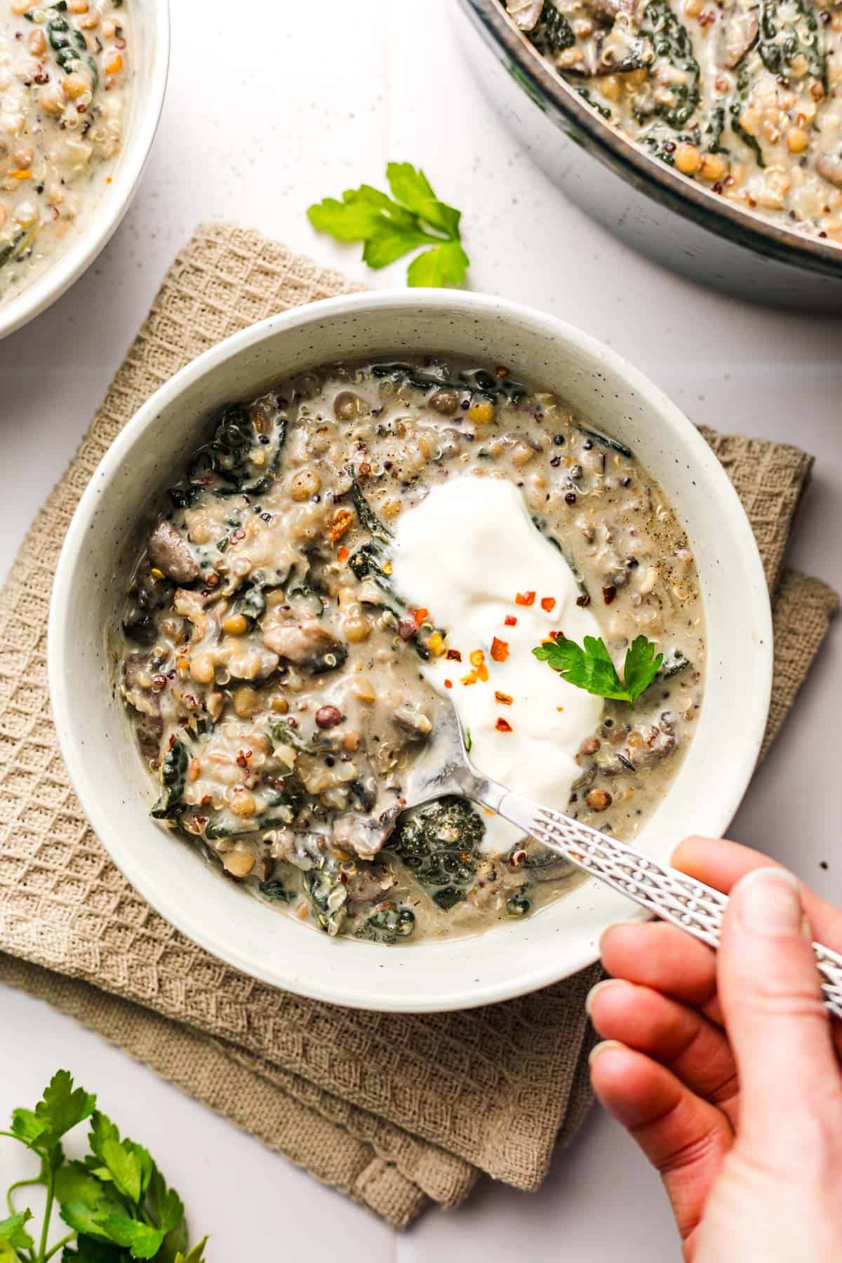 quinoa stew with mushrooms and brown lentils