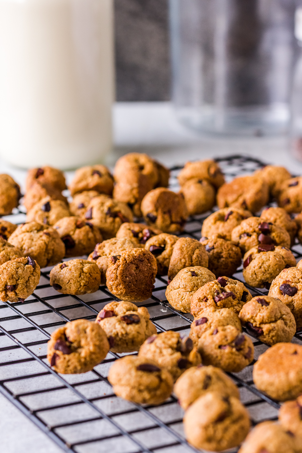 homemade crunchy vegan cookie cereal with oat flour #vegan #cookie #cereal