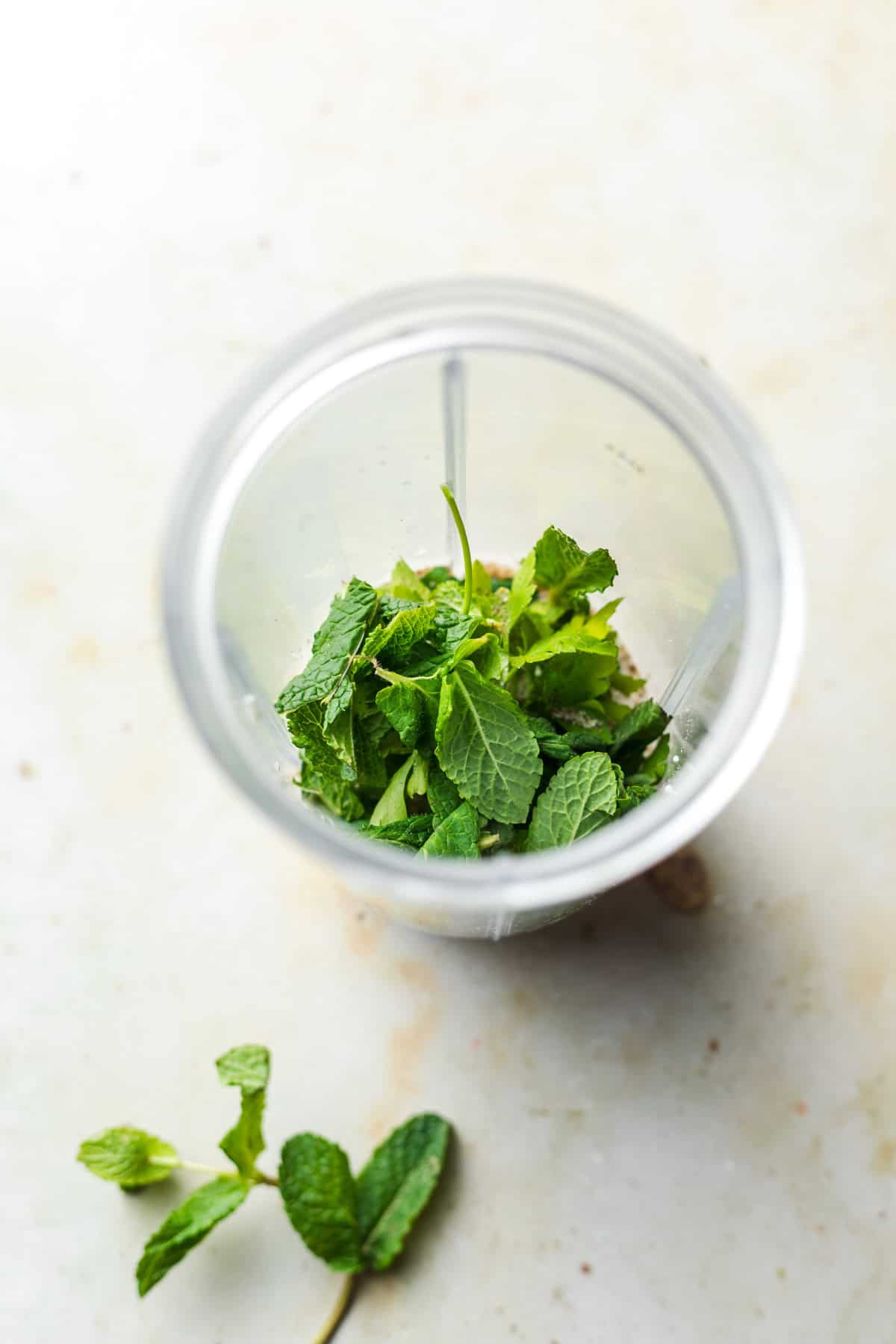 fresh mint in blender