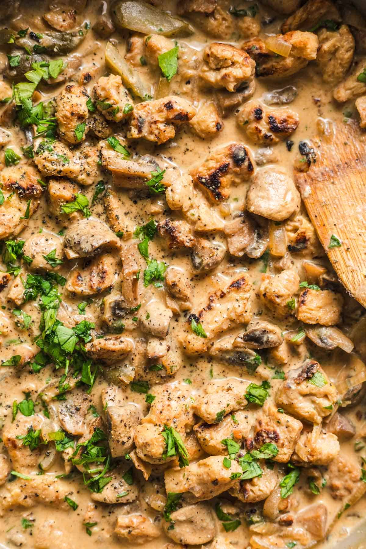 healthy vegan stroganoff sauce with coconut milk