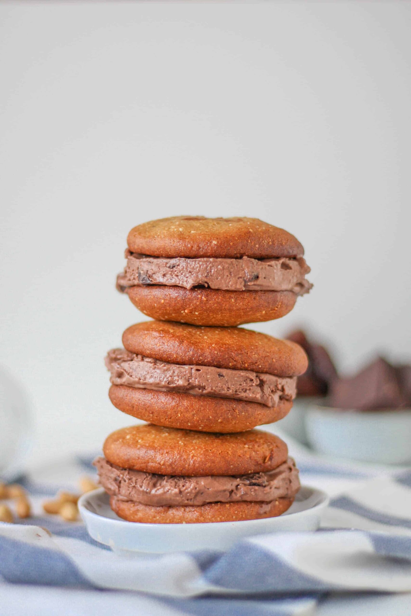 peanut butter chocolate ice cream sandwich vegn