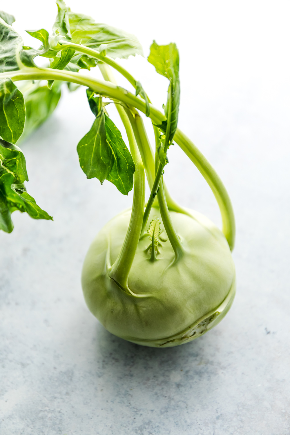 turnip