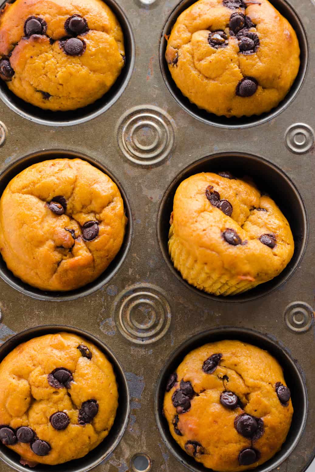 gesunde kürbis muffins vegan