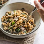 vegane pilz sahne sauce