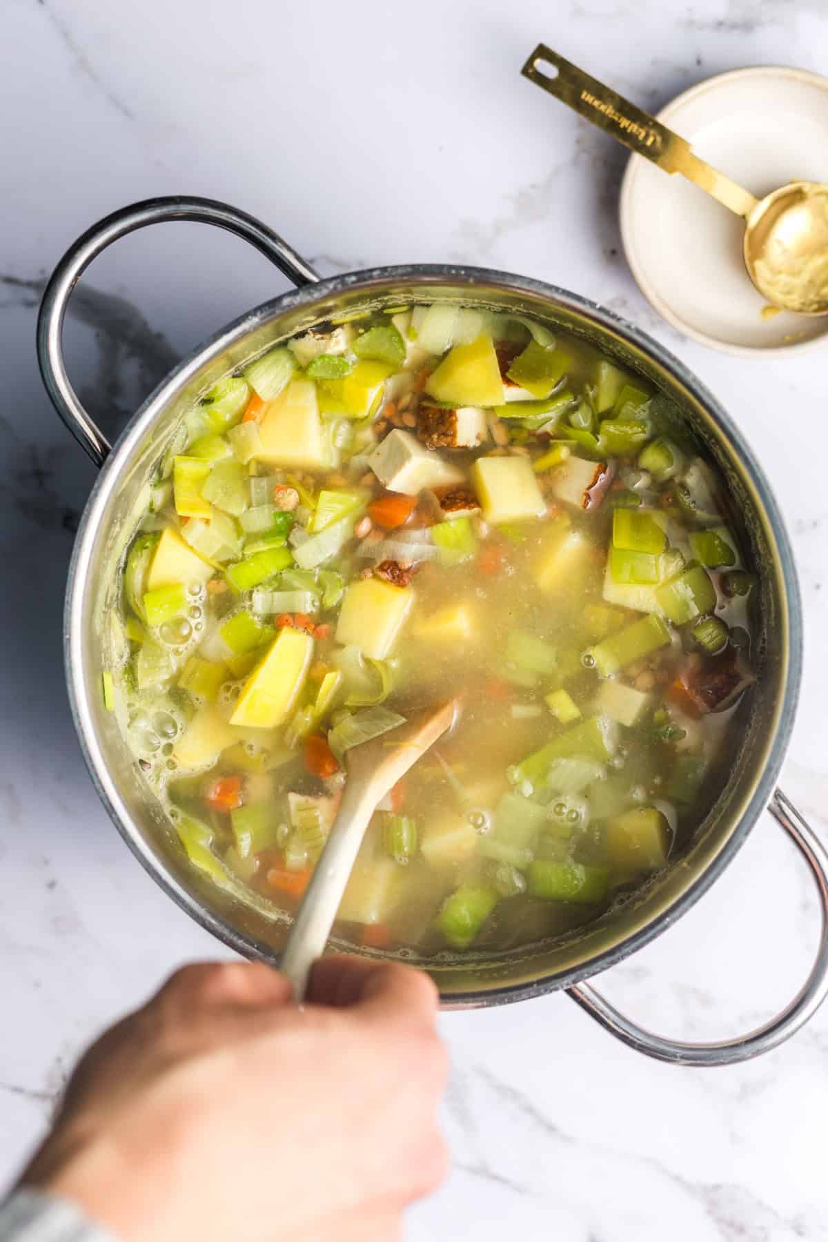 klassischer linseneintopf vegan kochen