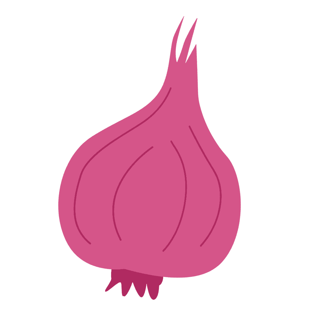 icon onion