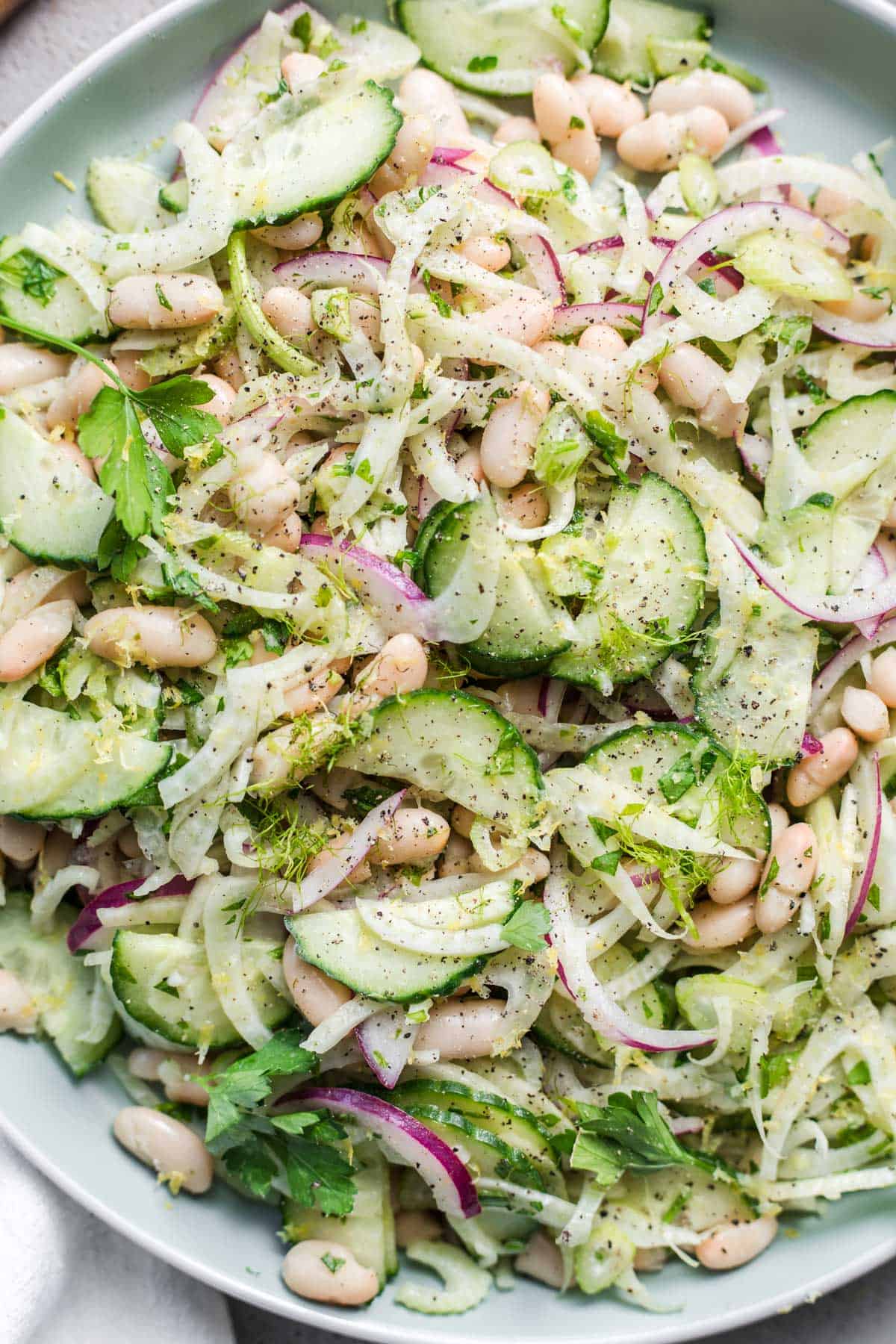 weiße bohnen salat mit gurken, zwiebeln, fenchel und zitronen vinaigrette