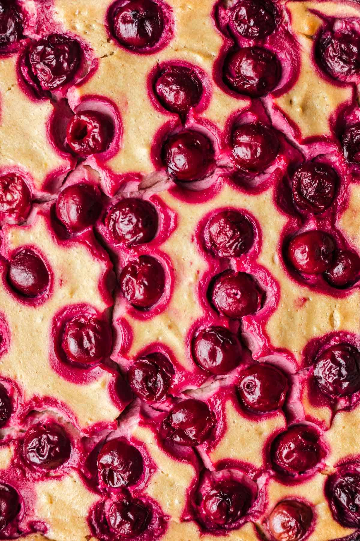 kirsch käsekuchen vegan mit soja skyr und seidentofu