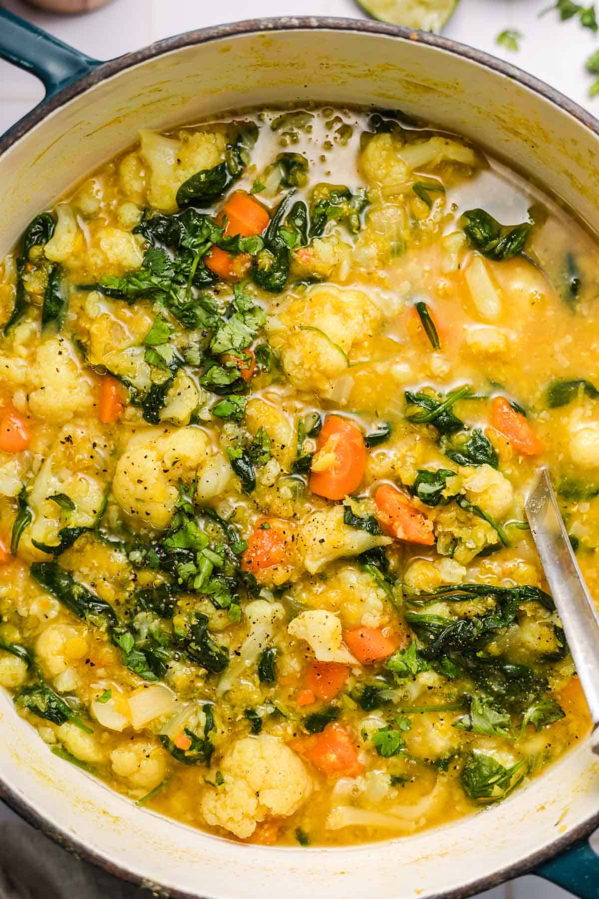 linsen gemüsesuppe